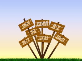 domain name