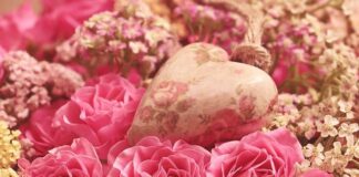 roses