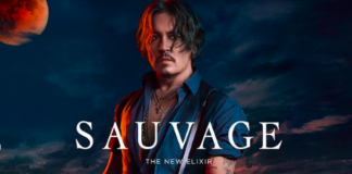 Dior Sauvage Dossier.co