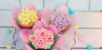 Cupcake Boxes