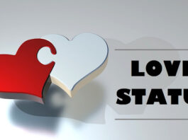 Love Status Quote