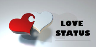 Love Status Quote